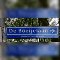 Foto van het straatnaambord De Boeijelaan 'Boerenhofstede te Bunnik' bij de kruising met de Sorbonnelaan op het Utrechtse Science Park (De Uithof) in juni 2021. Foto: Sander van Scherpenzeel.