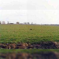 Zicht op het gebied van familie Van Wijk op behorend bij boerderij Schoneveld met zicht vanaf de Leedijk richting het zuiden met op de achtergrond de Staatslijn H richting Geldermalsen gezien in 1996 naar een foto van O.J. Wttewaall. Hier werd tussen 2009 en 2016 Houten Castellum Noordwest en Zuidwest gebouwd. Bron: Regionaal Archief Zuid-Utrecht (RAZU), 353.