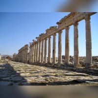 Apamea, Syrië - pilaren langs de Cardo (belangrijkste noord-zuidstraat). Bron: Wikipedia Apamea-Cardo.jpg.