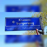 Straatnaambord Kranenburgerweg bij de kruising met de Koningsweg in Tolsteeg Noord tea Utrecht in juni 2021. Foto: Sander van Scherpenzeel.