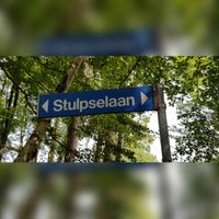 Straatnaambord 'Stulpselaan' te Lage Vuursche in juli 2021. Foto: Sander van Scherpenzeel.