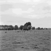 Gezicht op de weilanden bij boerderij De Koppel (Houtensepad) te Utrecht met in het midden enkele sloten op de grens van de middeleeuwse stadsvrijheid op 25 juli 1970. Bron: Het Utrechts Archief, catalogusnummer: 124375.