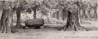 Gezicht op een kleinere stenen rustende grote steen in een bos bij de Lage Vuursche onder Baarn in 1888. Bron: Regionaal Archief Zuid-Utrecht (RAZU), 400, 67540, 12.