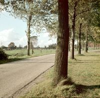Gezicht op de Mereveldseweg te Utrecht in het voorjaar 1965 gezien richting het noordwesten met aan de rechterkant een stukje te zien van boerderij Mereveld. Links van het midden in het klein de Domtoren aan de horizon. Bron: Het Utrechts Archief, catalogusnummer: 849319.
