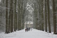 Gezicht over de oprijlaan van het landhuis Oud-Amelisweerd (Koningslaan 9) te Bunnik, in een besneeuwd landschap op zondag 24 januari 2010. Bron: Het Utrechts Archief, catalogusnummer: 844980.