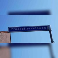 Straatnaambord Proosdijerveldweg te Ede in juli 2021. Foto: Sander van Scherpenzeel.