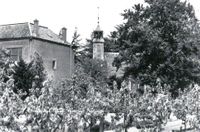 De N.H. Kerk in 't Waal in 1960.