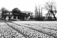 Huize De Grunnerie met op de voorgrond de bloembollenvelden in ca. 1940.