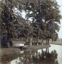 Het bruggetje aan de rechterkant van het landhuis Rhijnauwen met rechts de Krommae-Rijn in ca. 1910. Bron: Catawiki.nl.