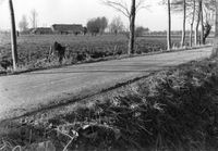 Gezicht op de boerderij Het Groen aan de Oud Wulfseweg te Oud Wulven in februari 1967. Bron: Het Utrechts Archief, catalogusnummer: 839823.
