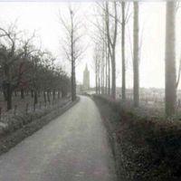 Zicht op de Lobbendijk in 1960 met links een boomgaard en d egrond die ooit van familie Strick van Linschoten is geweest. Net als de oostelijke helft van de Lobbendijk zelf. Op de achtergrond het Oude Dorp met de N.H. Kerktoren aan de Lobbendijk 1. Foto: Regionaal Archief Zuid-Utrecht (RAZU), 353.