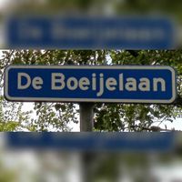 Straatnaambord De Boeijelaan ter hoogte met de kruising Vossegatsedijk en de Weg naar Rhijnauwen in juni 2021. Foto: Sander van Scherpenzeel.