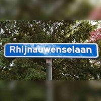 Straatnaambord Rhijnauwenselaan in juni 2021. Foto: Sander van Scherpenzeel.