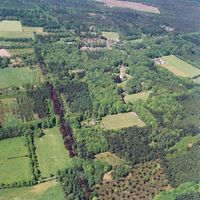 De bossen van bij het dorp Lage Vuursche in mei 2001 (1). Bron: Provincie Utrecht, Henk Bol.