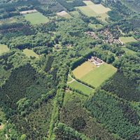 De bossen van bij het dorp Lage Vuursche in mei 2001 (2). Bron: Provincie Utrecht, Henk Bol.