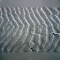 Zand (Arena) op een strand. Bron: Wikipedia.