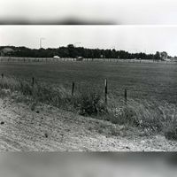 Gezicht vanaf de Utrechtseweg (links) in 1979 op het terrein waar bedrijventerrein Doornkade aangelegd zou gaan worden. Foto: Regionaal Archief Zuid-Utrecht (RAZU), 353.