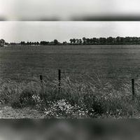 Gezicht vanaf de Utrechtseweg (links) met op de achtergrond de laan van Heemstede in 1979 op het terrein waar bedrijventerrein Doornkade aangelegd zou gaan worden. Foto: Regionaal Archief Zuid-Utrecht (RAZU), 353.