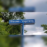 Straatnaambord: Blauwe-Vogelweg in 2021. Foto: Sander van Scherpenzeel.