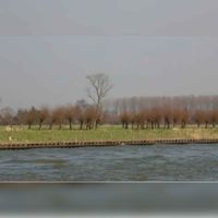 De walkant van het Amsterdam-Rijnkanaal ten zuiden van het Bos van landgoed Wickenburgh. Maker: onbekend.