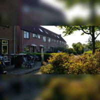 Zicht op eengezinswoningen aan De Eng in 't Goy in 2021. Foto: Sander van Scherpenzeel.