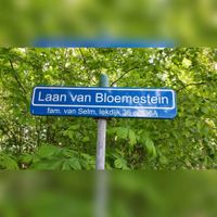 Straatnaambord &#039;Laan van Bloemestein&#039; aan de Groeneweg in Tull en &#039;t Waal. Naam verwijst naar het kasteel Bloemenstein wat ooit in de veertiende eeuw in de buurt moeten hebben gestaan. Foto: Sander van Scherpenzeel.