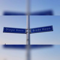 Foto van het straatnaambord 'Diepe Hoon' en 'Brede Hoon' in 2021. Foto: Sander van Scherpenzeel.