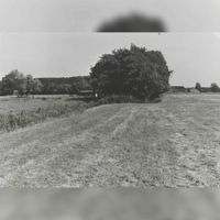 Gedeelte van de Wulfsedijk met rechts boerderij Nieuw Wulven (Keerkamp 13), thans onder andere in gebruik als kinderboerderij in 1983 naar een foto van Jos Schalkwijk. Bron: Regionaal Archief Zuid-Utrecht (RAZU), 353.