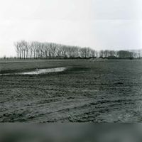 Het gebied waar de wijken de Poorten en de Slagen gebouwd zijn gezien vanuit het zuid-oosten. Links de bomenrij langs de Wulfsedijk en rechts de bomen langs het Groenelaantje/Houtlaantje in ca. 1995. Bron: Regionaal Archief Zuid-Utrecht (RAZU), 353.