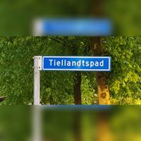 Straatnaambord 'Tiellandtspad' bij de t-splitsing met de Romeinenpoort en de Florijnslag. Foto: Sander van Scherpenzeel.