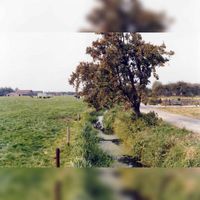 Het gebied tussen de Rietsloot en de Binnenweg. Rechts de Rietdijk en de Rietsloot en links boerderij Annahoeve, Binnenweg 15 in 1994. Bron: Regionaal Archief Zuid-Utrecht (RAZU), 353.