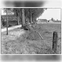 Gezicht op de toenmalige Wulfsedijk met rechts boerderij Nieuw Wulven, de huidige kinderboerderij. In 1975-1985. Foto: Jos Schalkwijk.