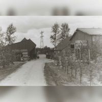 Het terrein van het fruitbedrijf van boerderij Ruimzicht in de jaren 70 van de twintigste eeuw aan de Waijensedijk nr. 19. Bron: Regionaal Archief Zuid-Utrecht, 353.