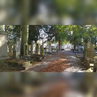 Zicht op de straat waar het grafmonument van mevr. Bosch van Drakestein-Volkhemer is gelegen op de Algemene Begraafplaats aan de Tongerseweg te Maastricht in oktober 2021. Foto: Sander van Scherpenzeel.