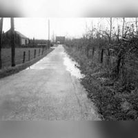 Scheidingsweg, richting de Pothuizerweg gezien in 1960-1970. Bron: Regionaal Archief Zuid-Utrecht (RAZU), 353.