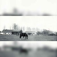 Boerderij de Zilfia's Hoeve aan de Fort in 1970, toendertijd gelegen aan de Waijensedijk. Bron: Regionaal Archief Zuid-Utrecht (RAZU), 353.