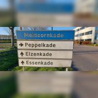 Verzameling wegwijzerborden op bedrijventerrein De Kaden met borden als 'Meidoornkade' en 'Peppelkade', 'Elzenkade', 'Essenkade' in maart 2022. Foto: Sander van Scherpenzeel.