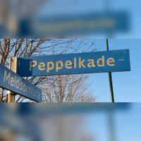 Twee straatnaamborden 'Peppelkade' en 'Meidoornkade' in maart 2022. Foto: Sander van Scherpenzeel.