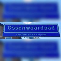 Straatnaambord Ossenwaardpad in 2022. Foto: Sander van Scherpenzeel.