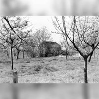 Gezicht op een boerderij met bloeiende boomgaard bij de Ossenwaard te Cothen in april 1967. Bron: HUA, 841031.