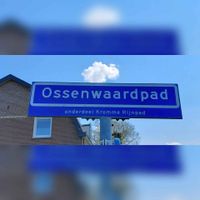 Straatnaambord 'Ossenwaardpad' in april 2022. Foto: Sander van Scherpenzeel.
