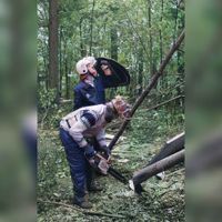 Omhakken van het bos Nieuw-Amelisweerd begint na de ontruiming. Bomen worden omgezaagd onder bescherming van de Mobiele Eenheid op vrijdag 24 september 1982. Bron: Nationaal Archief, 2.24.01.05.