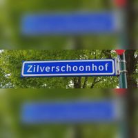 Straatnaambord Zilverschoonhof op de t-splitsing van de Kamillehof op vrijdag 1 mei 2020. Foto: Sander van Scherpenzeel.
