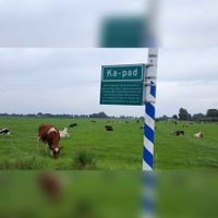 Straatnaambord voor het fietspad het Ka-pad aan de gemeentegrens van Houten. De koeien op de achtergrond staan op het grond gebied van de gemeente Bunnik (Werkhoven op t Hoge Land). Foto: Sander van Scherpenzeel.