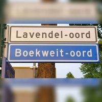 Straatnaamborden Lavendel-oord (wit-verwijzend) en Boekweit-oord, 7 mei 2020. Foto: Sander van Scherpenzeel.