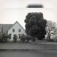 Zijaanzicht boerderij Den Oord met rechts van grote boom de Lekdijk aan de Beusichemseweg nr. 146 in 1986. Foto: O.J. Wttewaall. Bron: Regionaal Archief Zuid-Utrecht (RAZU), 353.