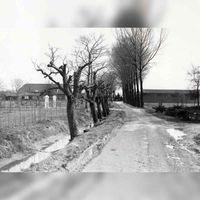 Gedeelte van de Tuurdijk met links het witte inrijhek van boerderij Koningsbergen in 1989. Foto: O.J. Wttewaall. Bron: RAZU, 353.