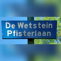 Straatnaambord 'De Wetstein Pfisterlaan' te Driebergen-Rijsenburg in juni 2023. Foto: Sander van Scherpenzeel.