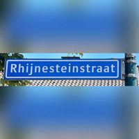 Straatnaambord 'Rhijnesteinstraat' in Cothen in juni 2023. Foto: Sander van Scherpenzeel.