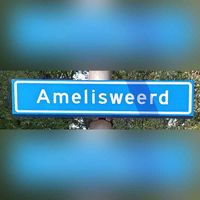 Straatnaambord 'Amelisweerd' in de Amersfoortse wijk Schothorst in augustus 2023. Foto: Sander van Scherpenzeel.